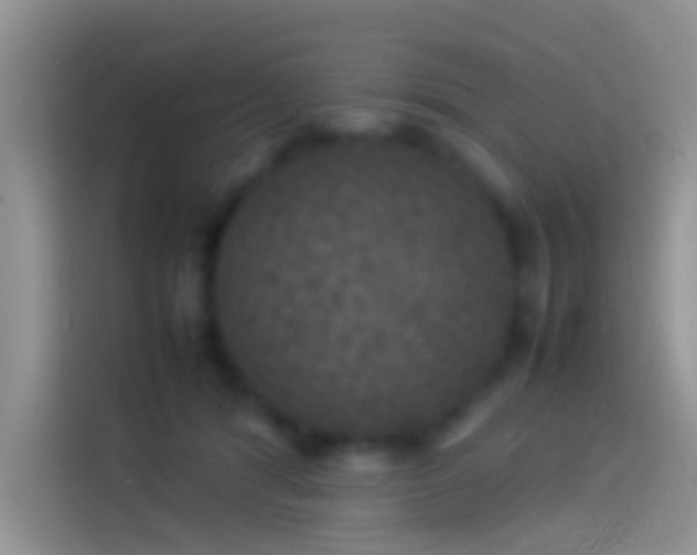 X0000114110416200910131346