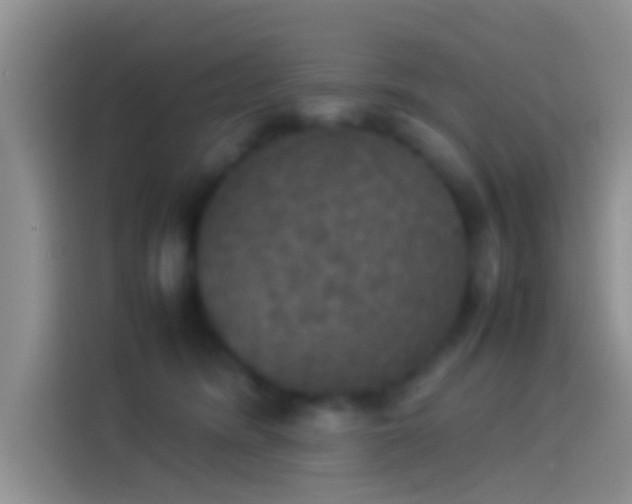 X0000114110420200910131346
