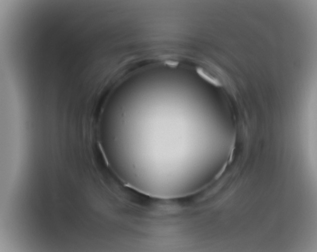 X0000114110421200910131346