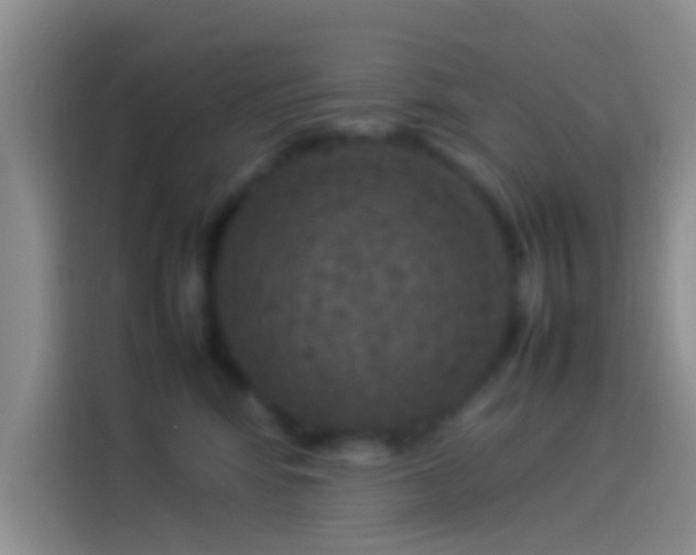 X0000114110424200910131346