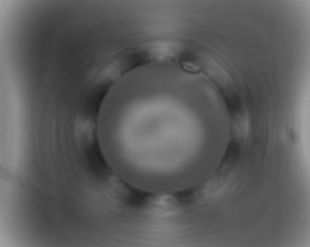 X0000114110427200910131346