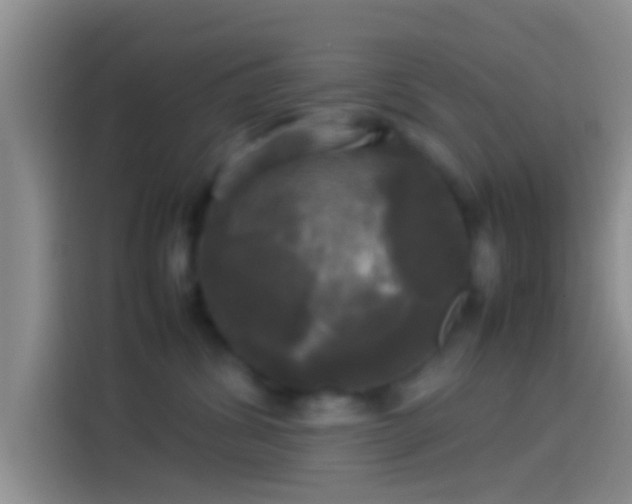 X0000114110428200910131346