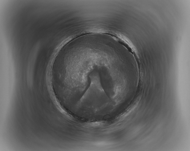 X0000114110433200910131346
