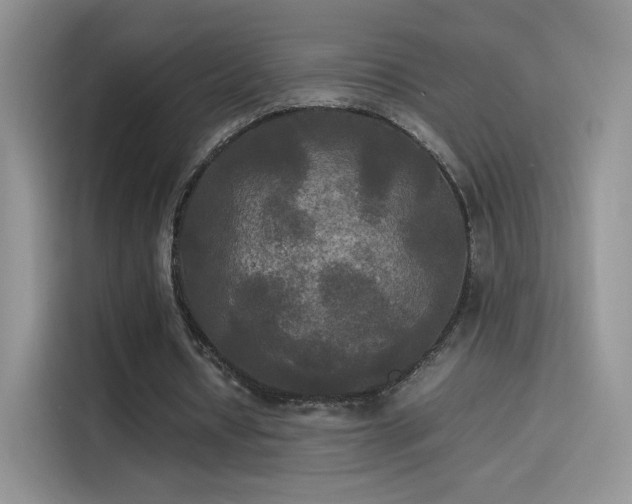 X0000114110434200910131346