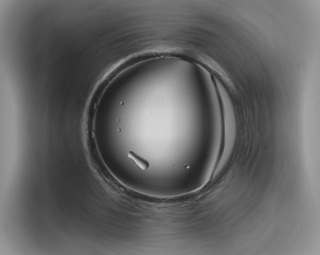 X0000114110436200910131346
