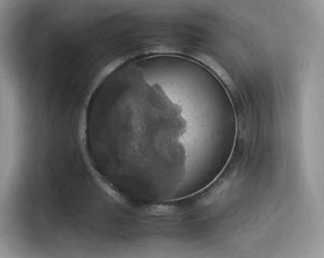 X0000114110437200910131346