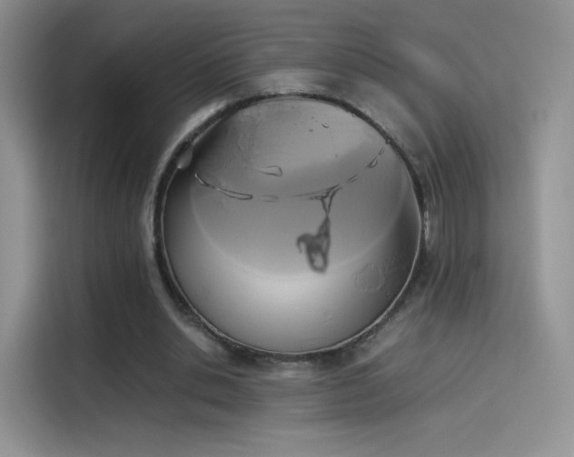 X0000114110438200910131346