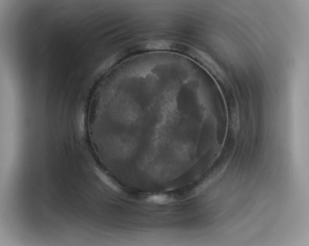 X0000114110441200910131346