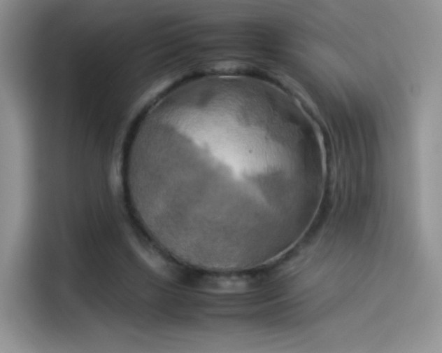 X0000114110443200910131346