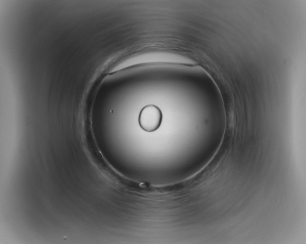 X0000114110444200910131346
