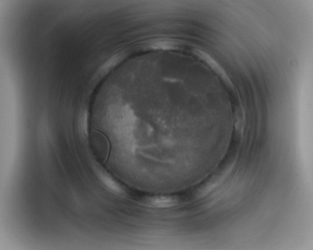 X0000114110445200910131346