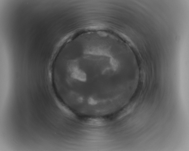 X0000114110446200910131346