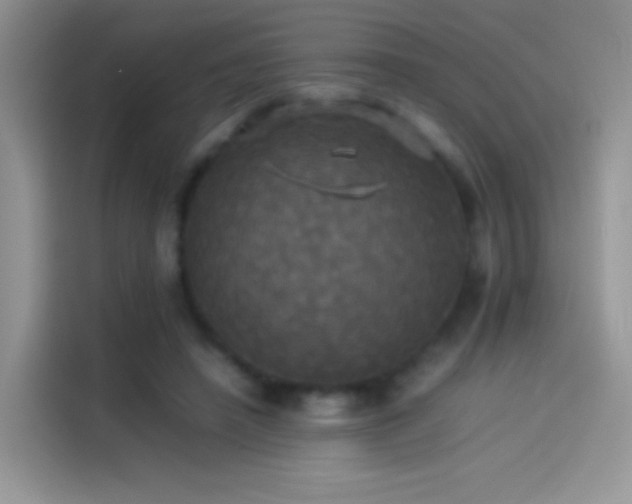 X0000114110450200910131346