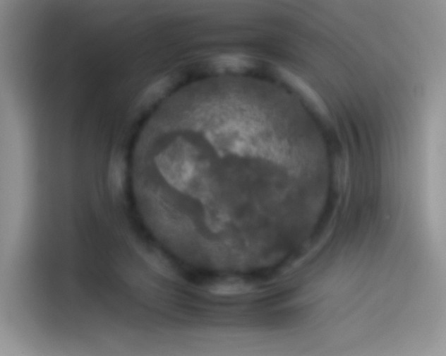 X0000114110451200910131346