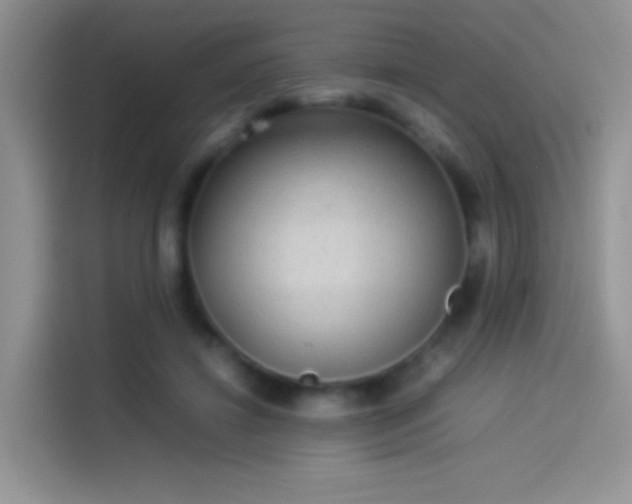 X0000114110452200910131346