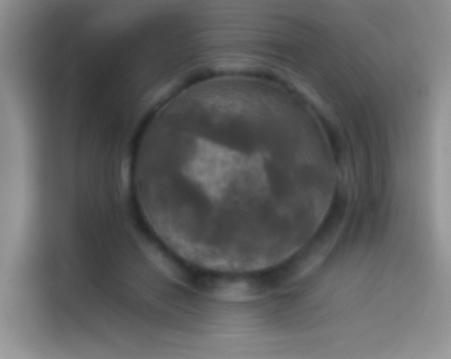 X0000114110454200910131346