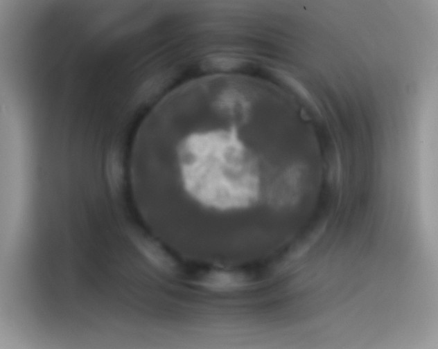 X0000114110455200910131346