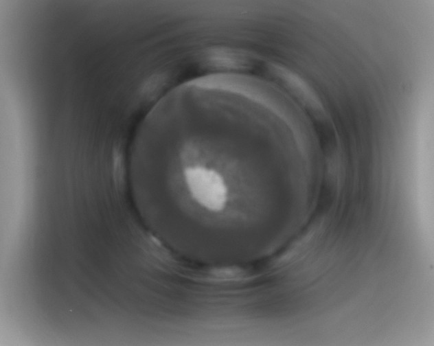 X0000114110457200910131346