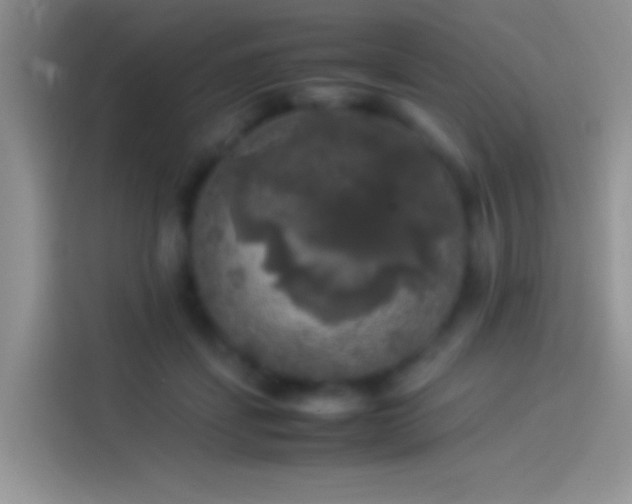 X0000114110459200910131346