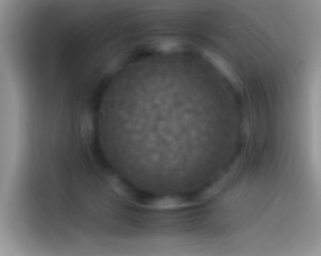 X0000114110461200910131346