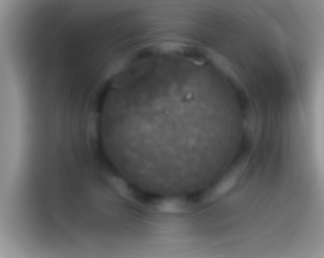 X0000114110462200910131346