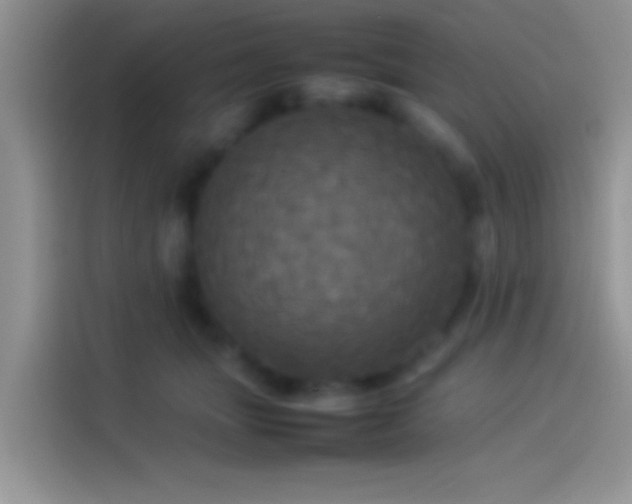 X0000114110463200910131346