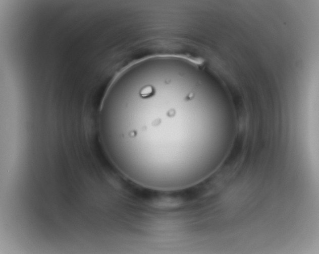 X0000114110464200910131346