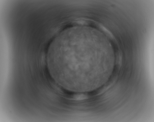 X0000114110465200910131346