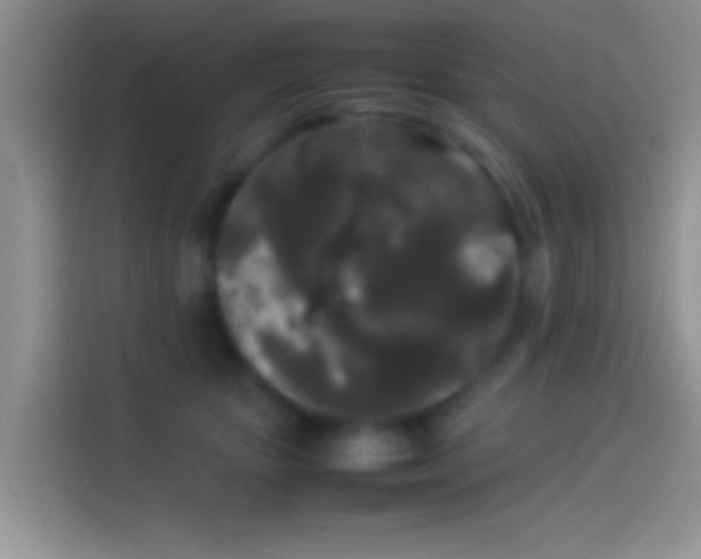 X0000114110467200910131346