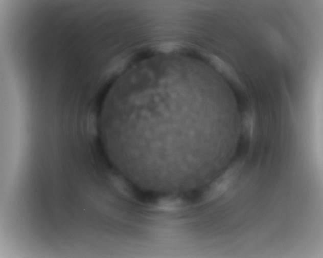 X0000114110470200910131346