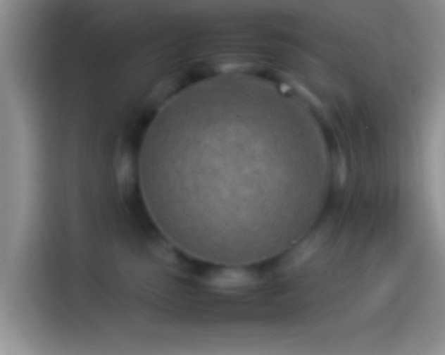 X0000114110475200910131346