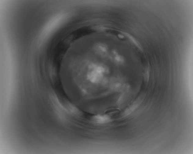 X0000114110477200910131346