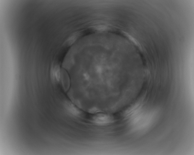X0000114110479200910131346