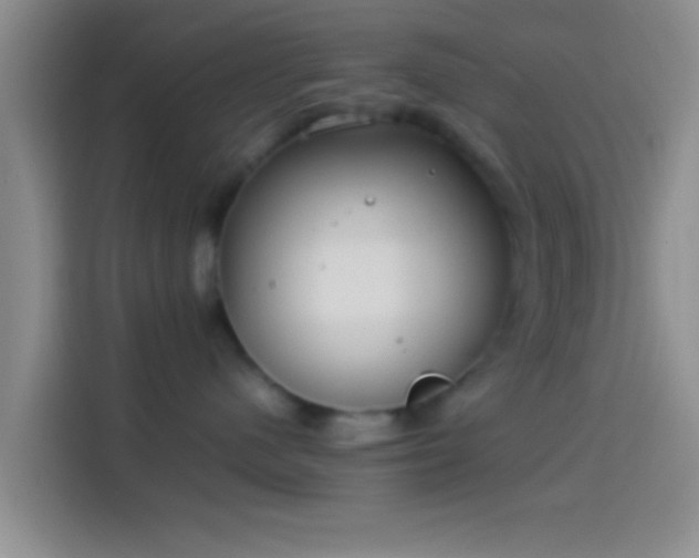X0000114110480200910131346
