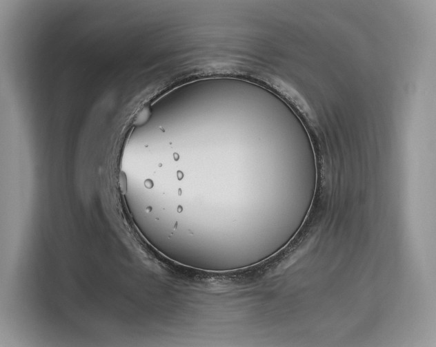 X0000114110481200910131346