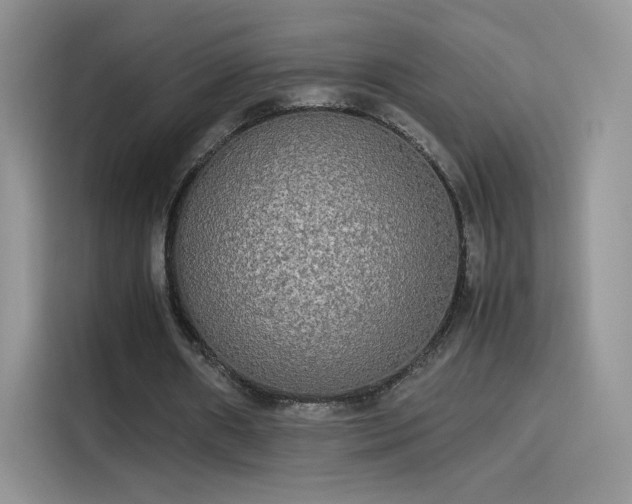X0000114110482200910131346