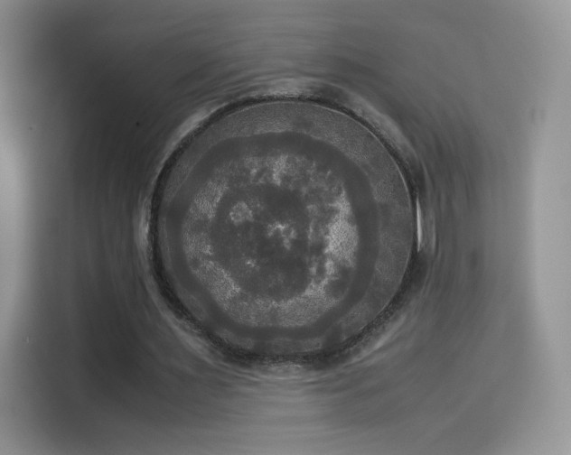 X0000114110483200910131346