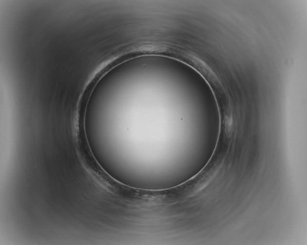 X0000114110484200910131346