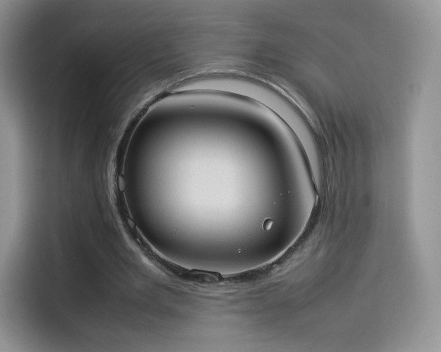 X0000114110485200910131346