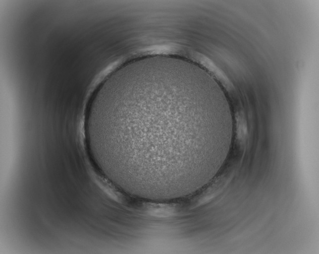 X0000114110486200910131346
