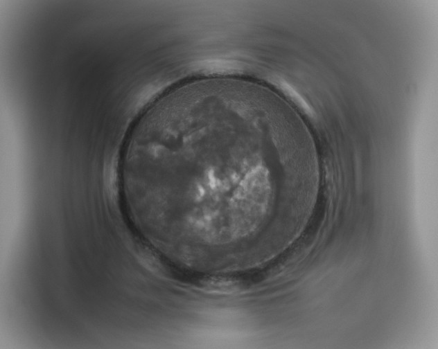 X0000114110487200910131346