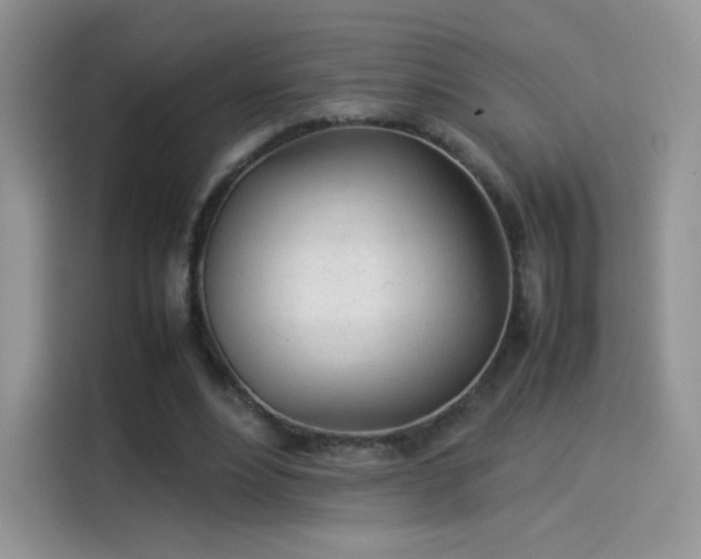 X0000114110488200910131346