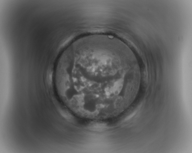 X0000114110491200910131345