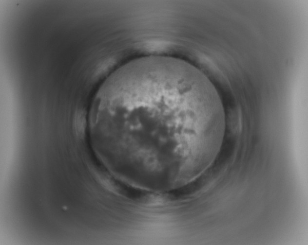 X0000114110495200910131345