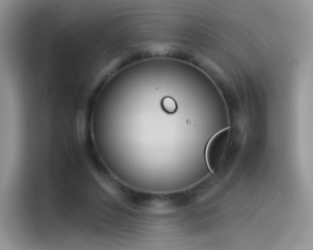 X0000114110496200910131345