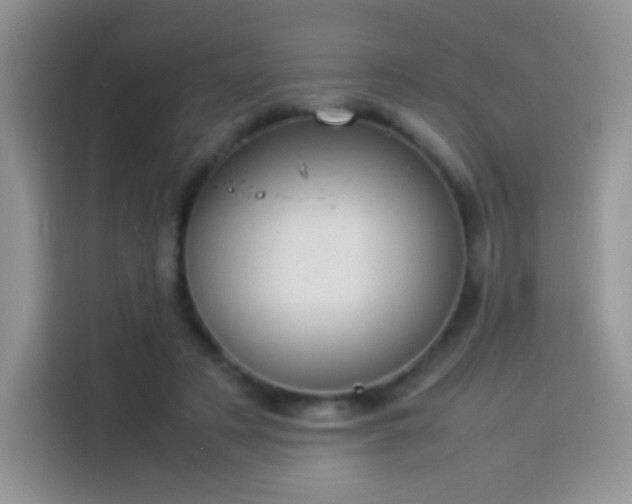 X0000114110497200910131345
