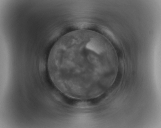 X0000114110499200910131345