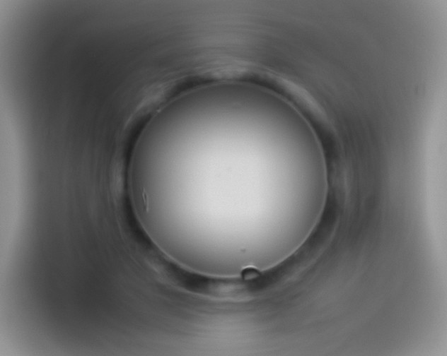 X0000114110501200910131345