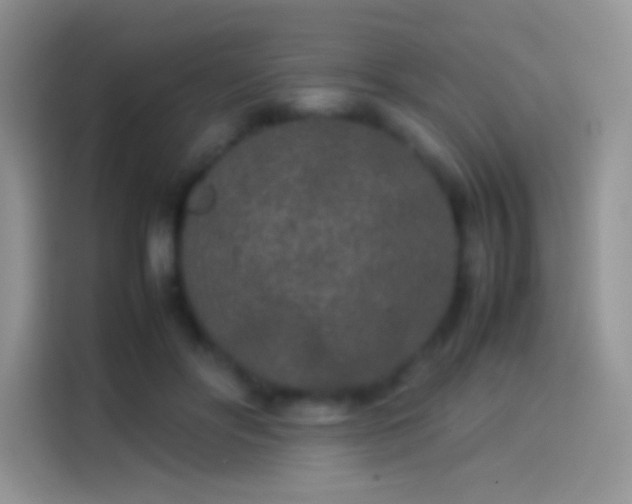 X0000114110502200910131345