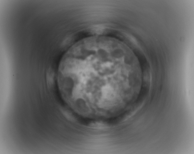 X0000114110503200910131345
